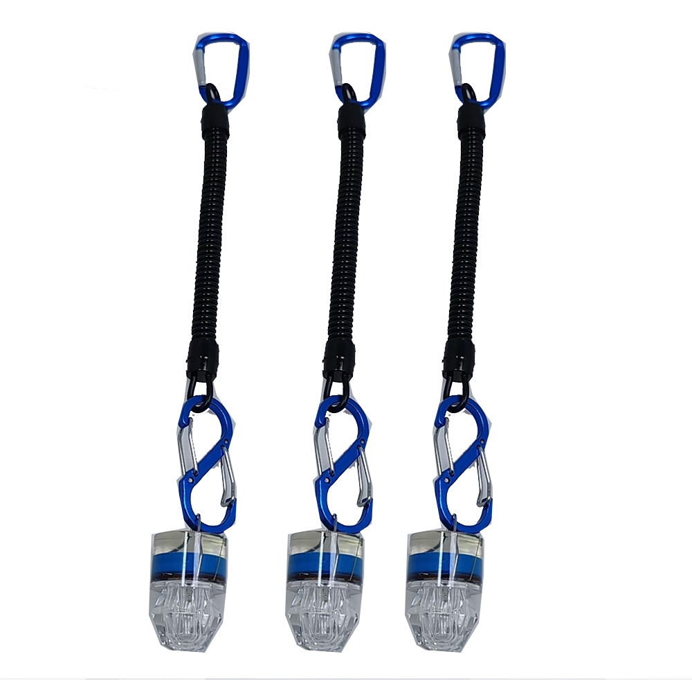 Fish Alarm - 2-3 Stück LED-Angellichter mit Seil, Unterwasser-Tiefenlicht,