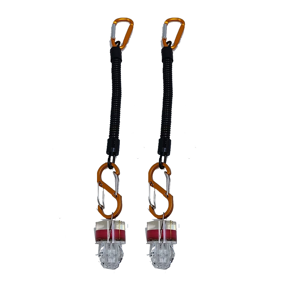 2-3 Stück LED-Angellichter mit – Fish Alarm Bewertung und Preis